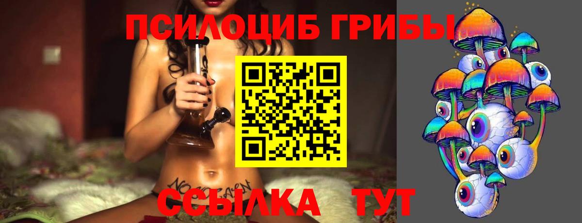 Псилоцибиновые грибы Cubensis Смоленск